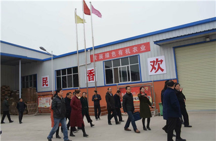 宝鸡市政协副主席和惠敏一行深入民香果业调研(1)