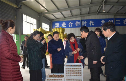 宝鸡市政协副主席和惠敏一行深入民香果业调研(2)