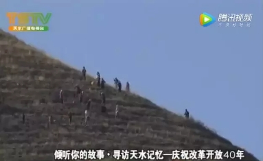 16年与荒山为伴 ，誓让秃岭变青山的甘谷女子李勤英(4)