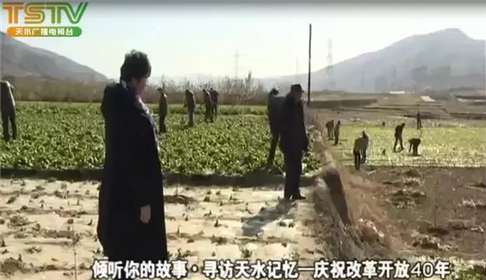 16年与荒山为伴 ，誓让秃岭变青山的甘谷女子李勤英(1)