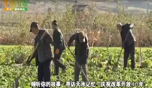 16年与荒山为伴 ，誓让秃岭变青山的甘谷女子李勤英(2)