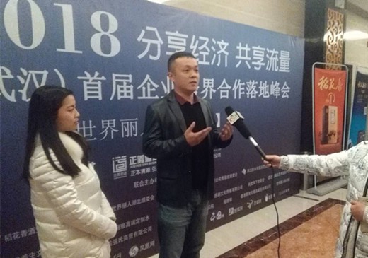 2018武汉首届企业跨界合作落地峰会圆满举行(13)