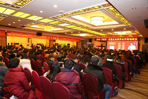 2018武汉首届企业跨界合作落地峰会圆满举行(2)