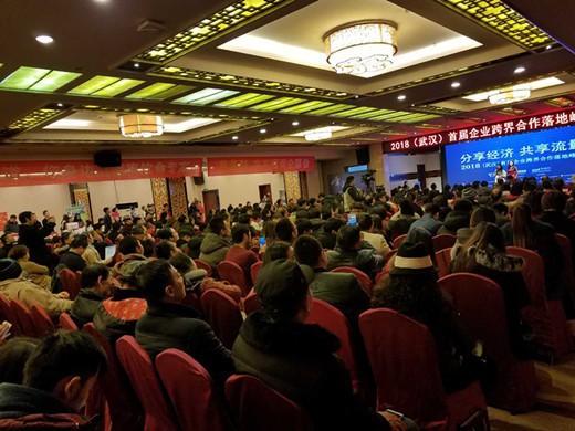 2018武汉首届企业跨界合作落地峰会圆满举行(15)