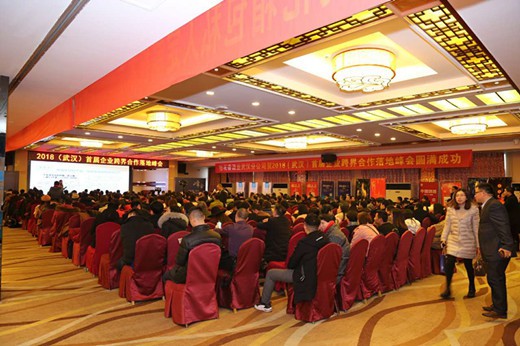 2018武汉首届企业跨界合作落地峰会圆满举行(1)