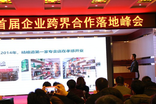 2018武汉首届企业跨界合作落地峰会圆满举行(11)