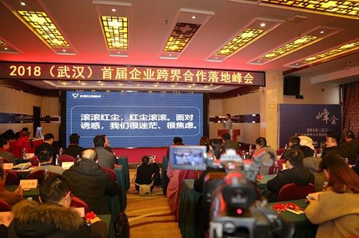 2018武汉首届企业跨界合作落地峰会圆满举行(10)