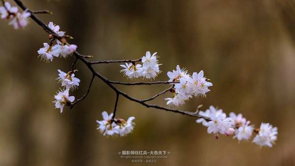 “春醒•忆老家”2018全国百家网络媒体走进汝阳西泰山、恐龙谷漂流景区