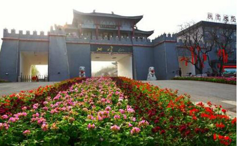 2018中国·方城万亩花海旅游节暨第二届牡丹节将开幕(4)