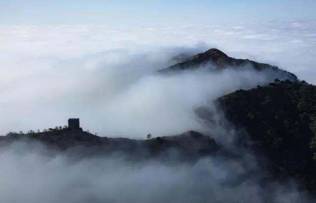 七峰山第三届连翘花节即将盛大开幕!万人共享巨型连翘花糕(3)