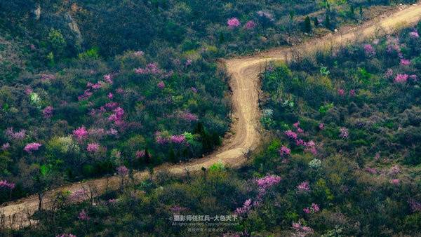“春醒•忆老家”2018全国百家网络媒体走进方城七峰山生态旅游区(31)