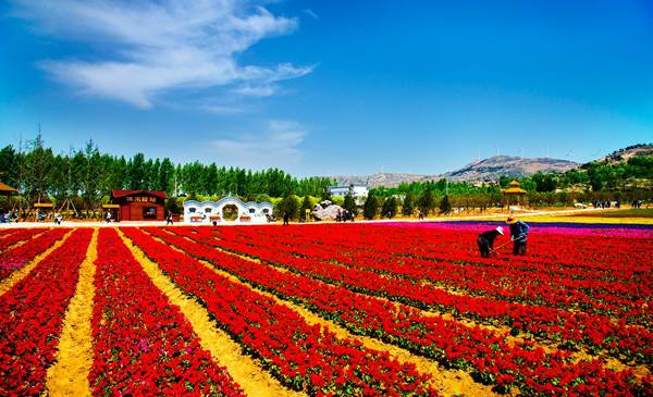 “春醒•忆老家”2018全国百家网络媒体走进德云山风情植物园