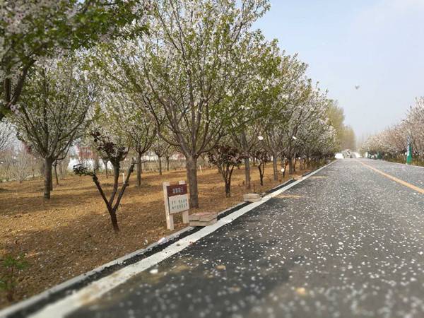 “春醒•忆老家”2018全国百家网络媒体走进德云山风情植物园