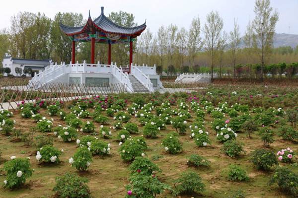 “春醒•忆老家”2018全国百家网络媒体走进德云山风情植物园