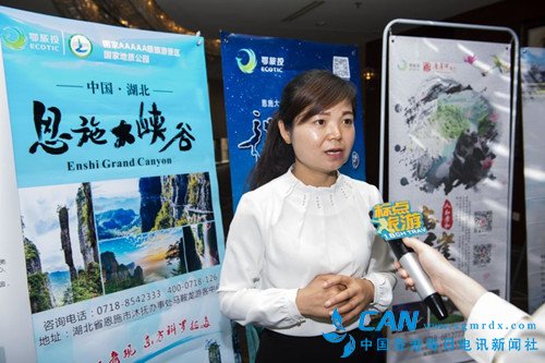 恩施旅游集团赴南京推介，秦淮河畔共谋发展机遇
