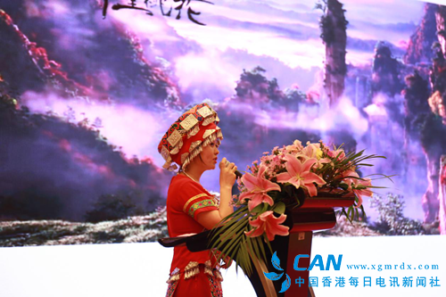 恩施旅游集团赴南京推介，秦淮河畔共谋发展机遇