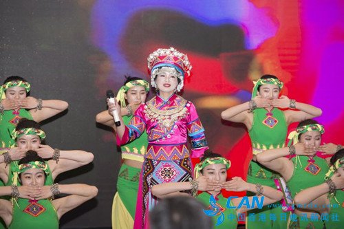 恩施旅游集团赴南京推介，秦淮河畔共谋发展机遇