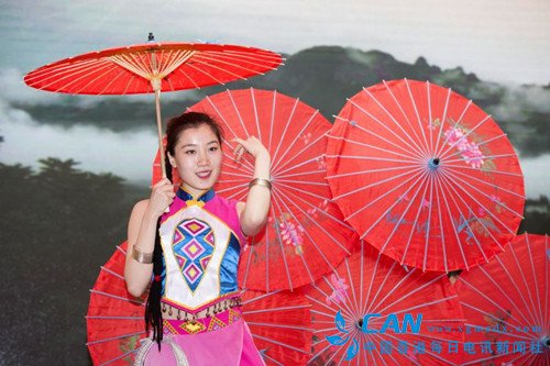 恩施旅游集团赴南京推介，秦淮河畔共谋发展机遇