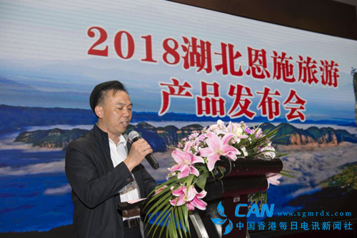 恩施旅游集团赴南京推介，秦淮河畔共谋发展机遇