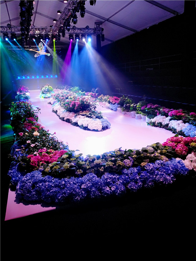 “纸雁·聆花”第四季衡阳时装周璀璨启幕(5)