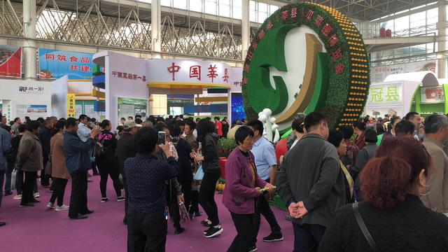 首届山东聊城（莘县）瓜菜菌博览会电商瓜果节盛大开幕！(2)