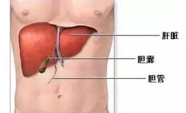 肝净，皮肤娇嫩(1)