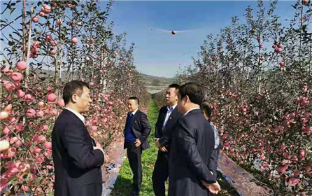 陕西省信用联社宝鸡审计中心联合凤翔农商行开展“扶贫日”活动(2)