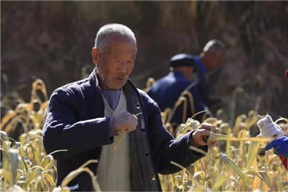 王有冻：从上访户到好村民(1)