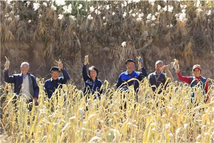 王有冻：从上访户到好村民(4)