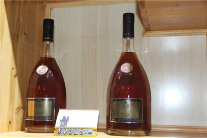 汉诺庄园葡萄红叶长廊美景醉游人(11)