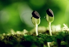 陕西省农业农村厅取消87家“陕西省龙头企业”资格(1)