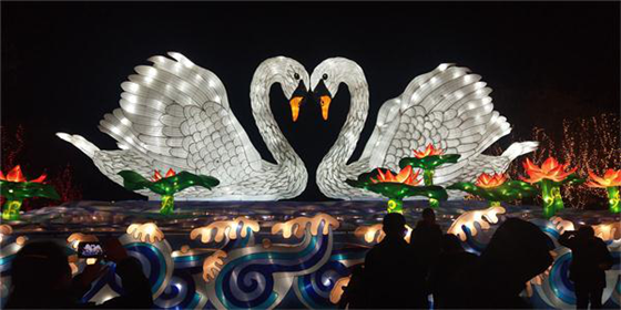 新春彩灯多相似 唯有陕州独不同(5)