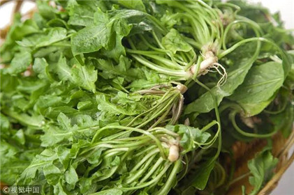 今天惊蛰 | 你不知道的养生秘诀！(5)