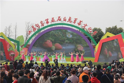 句容第五届白兔草莓文化节精彩开幕(1)