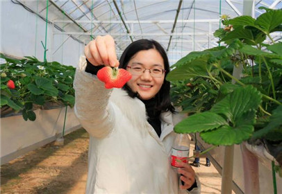 句容第五届白兔草莓文化节精彩开幕(4)