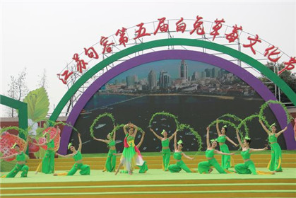 句容第五届白兔草莓文化节精彩开幕(5)