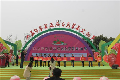 句容第五届白兔草莓文化节精彩开幕(7)