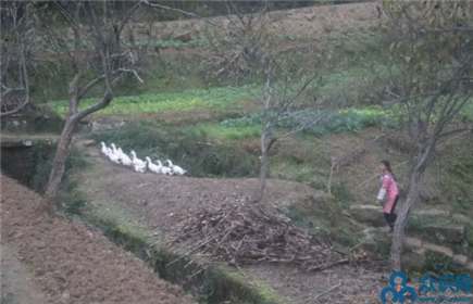 扶贫公益微电影《山乡情漫漫》(5)