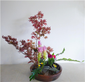 西安古琴、茶艺金牌培训好评排名第一禅韵琴社(5)