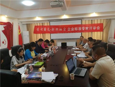 普斯霸氪新燃油宝企业标准专家评审会召开 标准通过专家组审查(2)