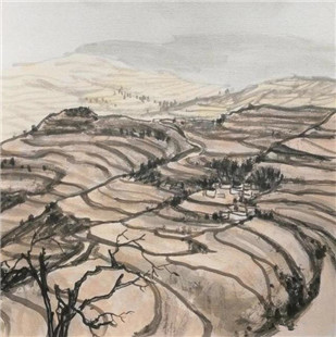 书画家张泽中的绵绵黄土情(2)