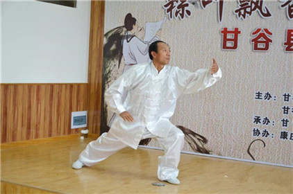 天水市甘谷县端午诗会成功举行(14)