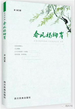  陕西省西乡县六位青年作家集体出发用作品讴歌家乡变迁(2)