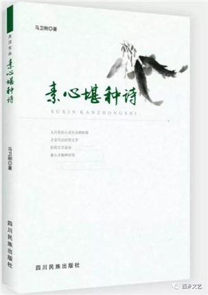  陕西省西乡县六位青年作家集体出发用作品讴歌家乡变迁(图3)