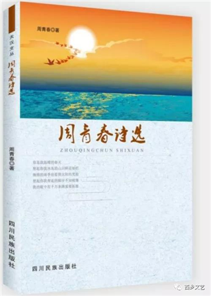  陕西省西乡县六位青年作家集体出发用作品讴歌家乡变迁(6)