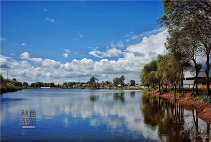 东方庶食吴利刚：九月菊黄 丹桂飘香 健康隽语 歌声飞扬(2)