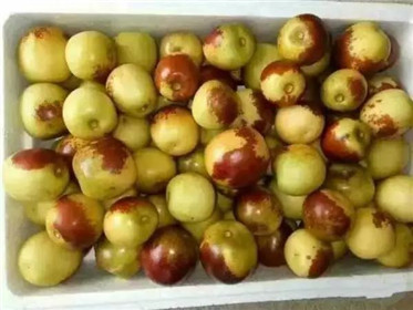 它是天然维生素C大补丸!每天六七颗,软化血管 解毒肝脏,还能…(3)