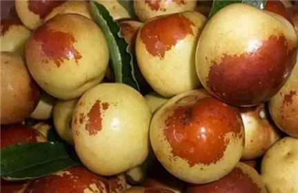 它是天然维生素C大补丸!每天六七颗,软化血管 解毒肝脏,还能…(2)