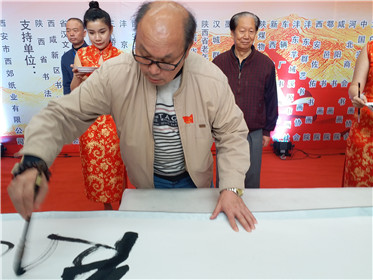 “爱我中华·三秦百姓书画展”在西安王寺隆重举行(7)