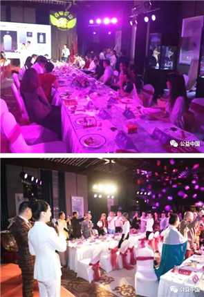 公益中国慈善联盟二届一次会议暨《星咖行动》新闻发布会(29)